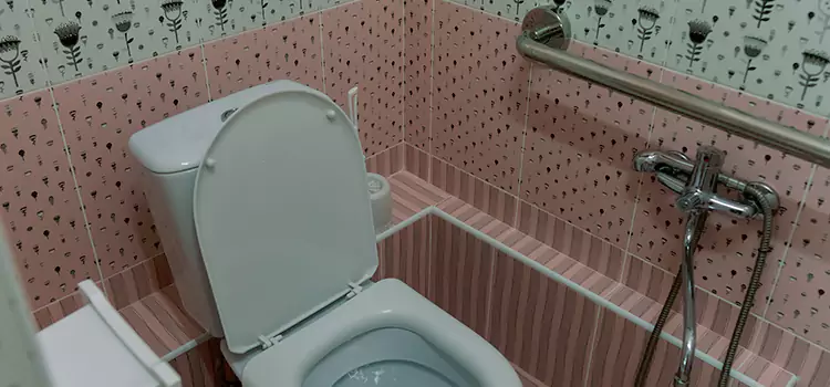 Meeting Diverse Needs With Accessible Restroom Solutions in Whitehorse, YT